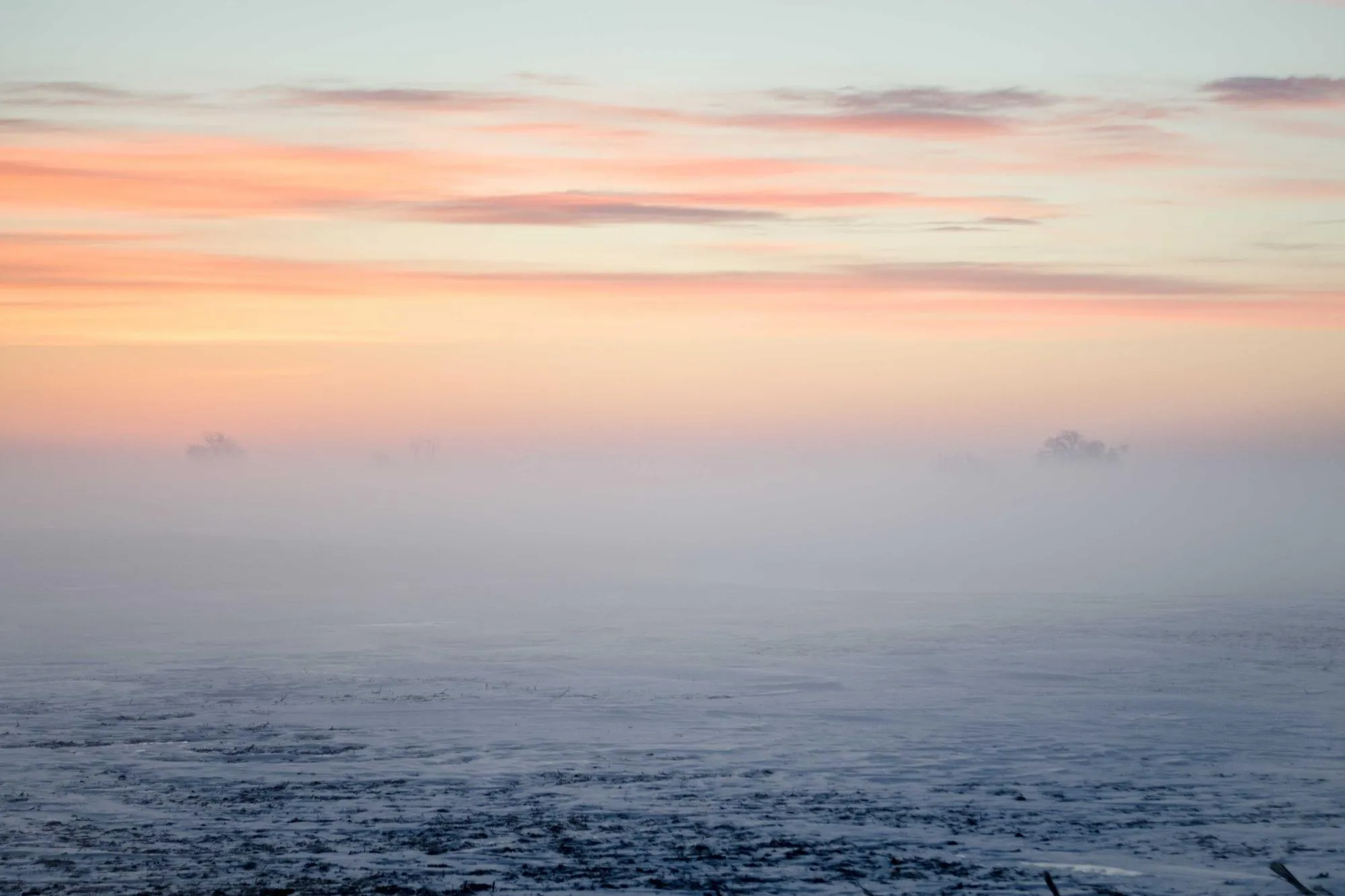 Le paysage, mon univers