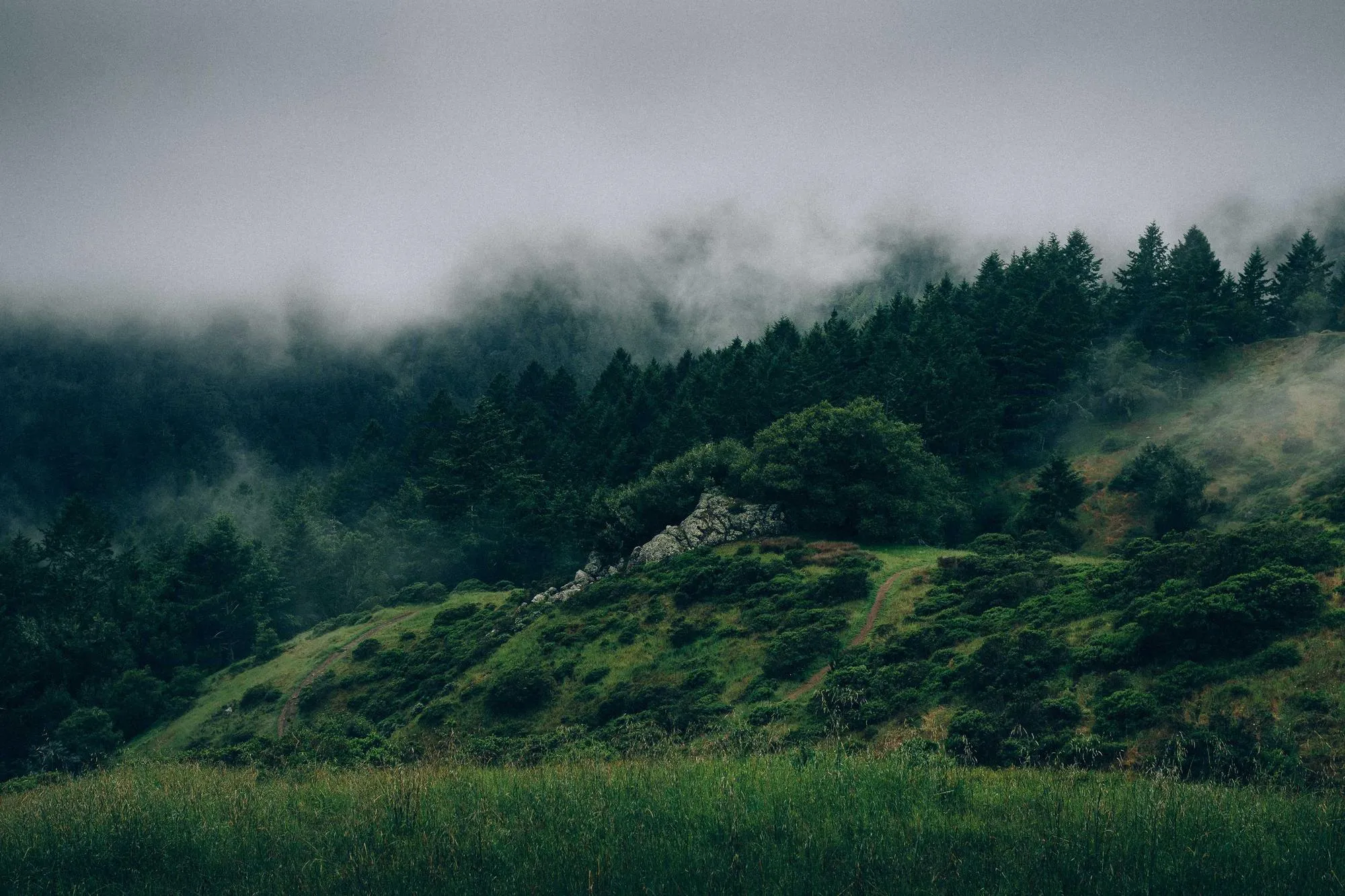 Nappe de brume