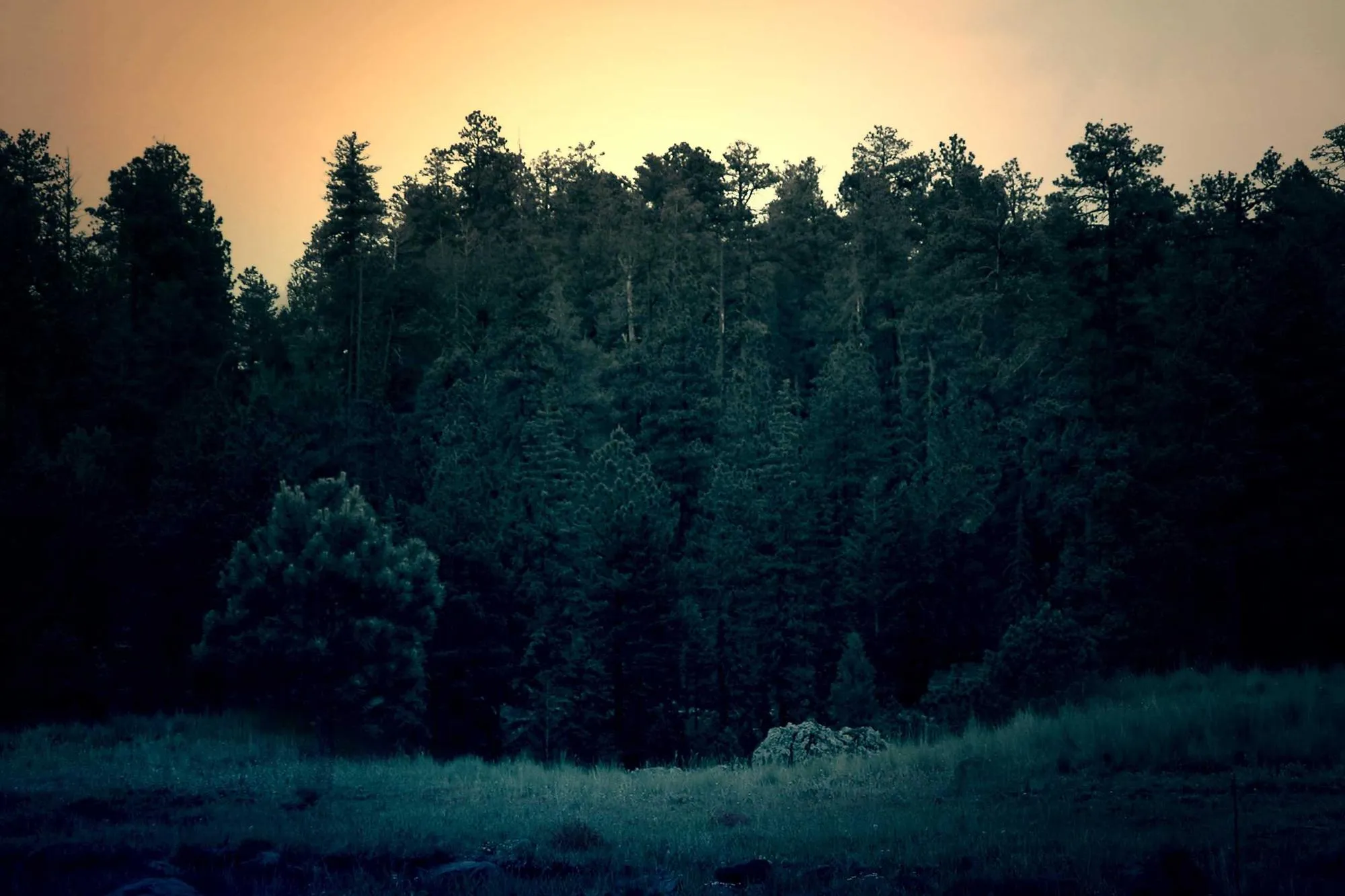 La lisière au crépuscule