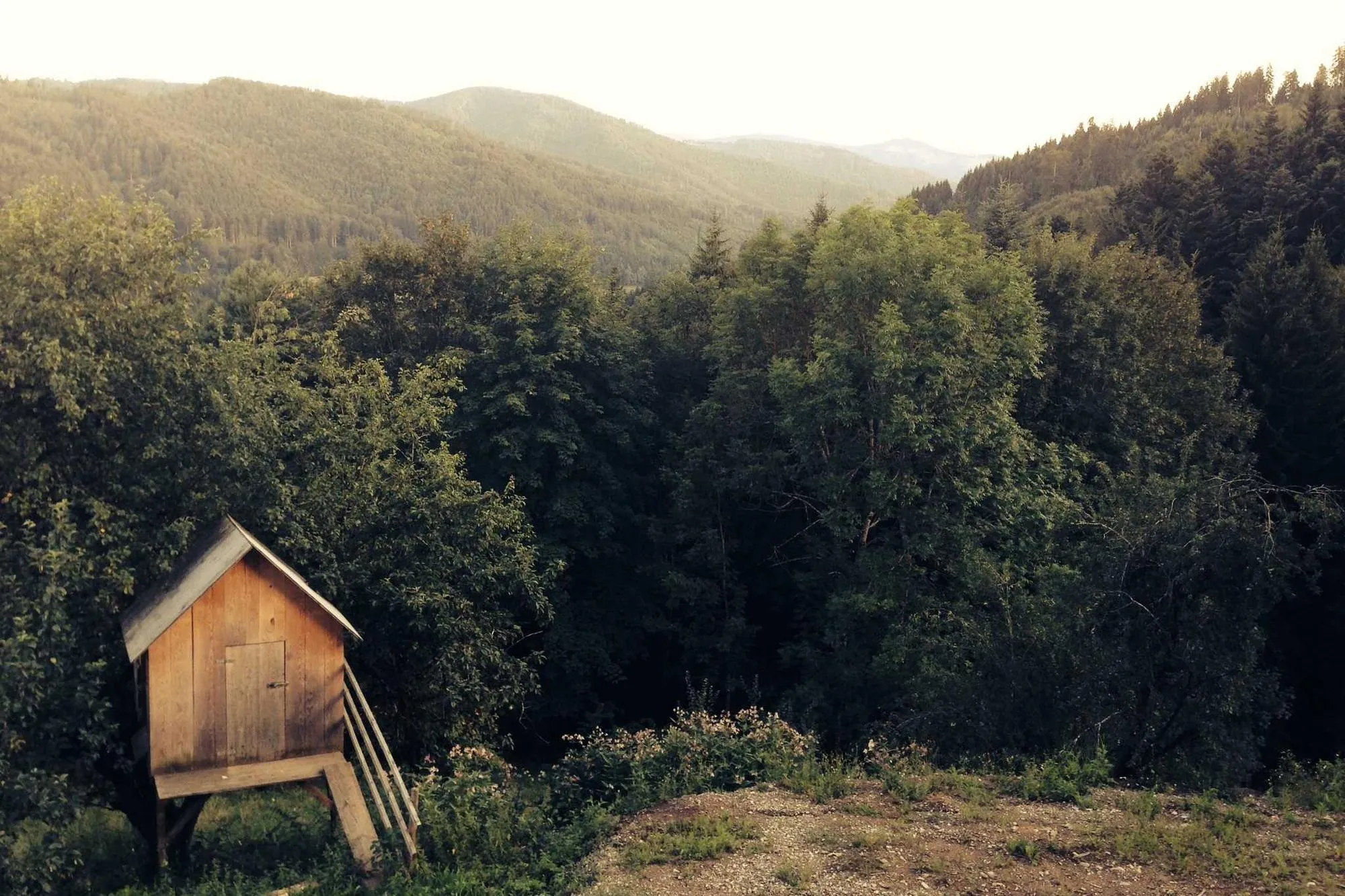 La cabane au loin, lumière d'entre-deux