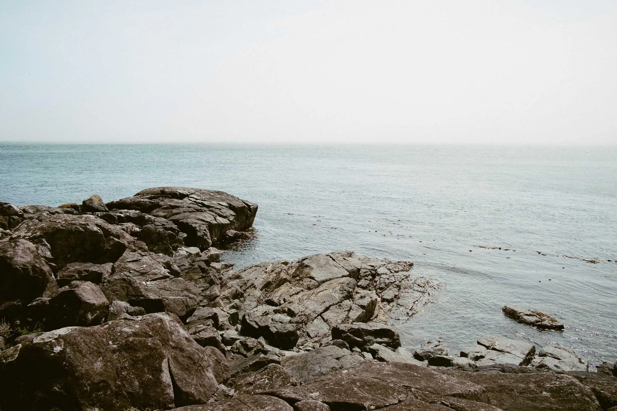 Côte sauvage, lumière voilée de novembre
