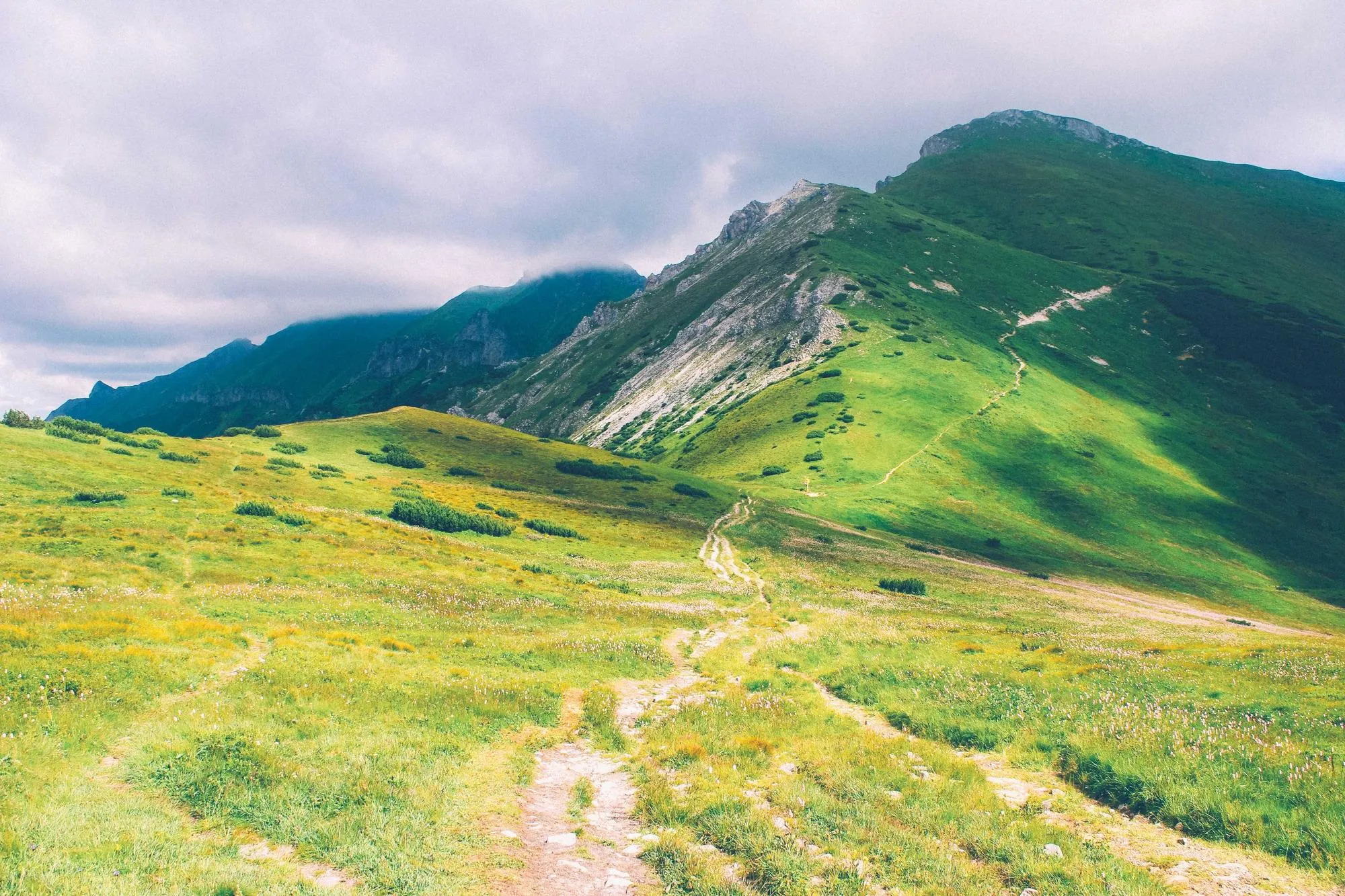 Sentier de crête, juin