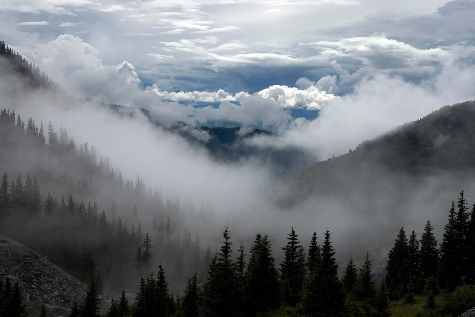 Vallons embrumés après la pluie