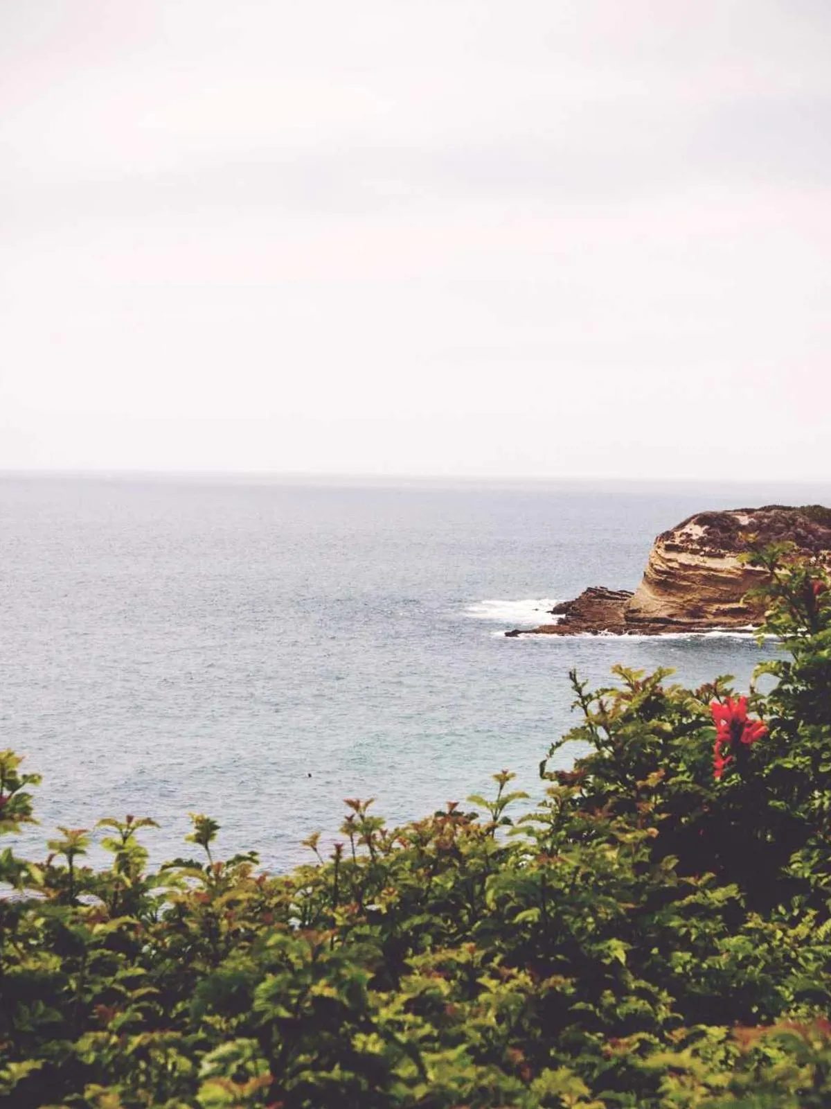 Le sentier du littoral au réveil
