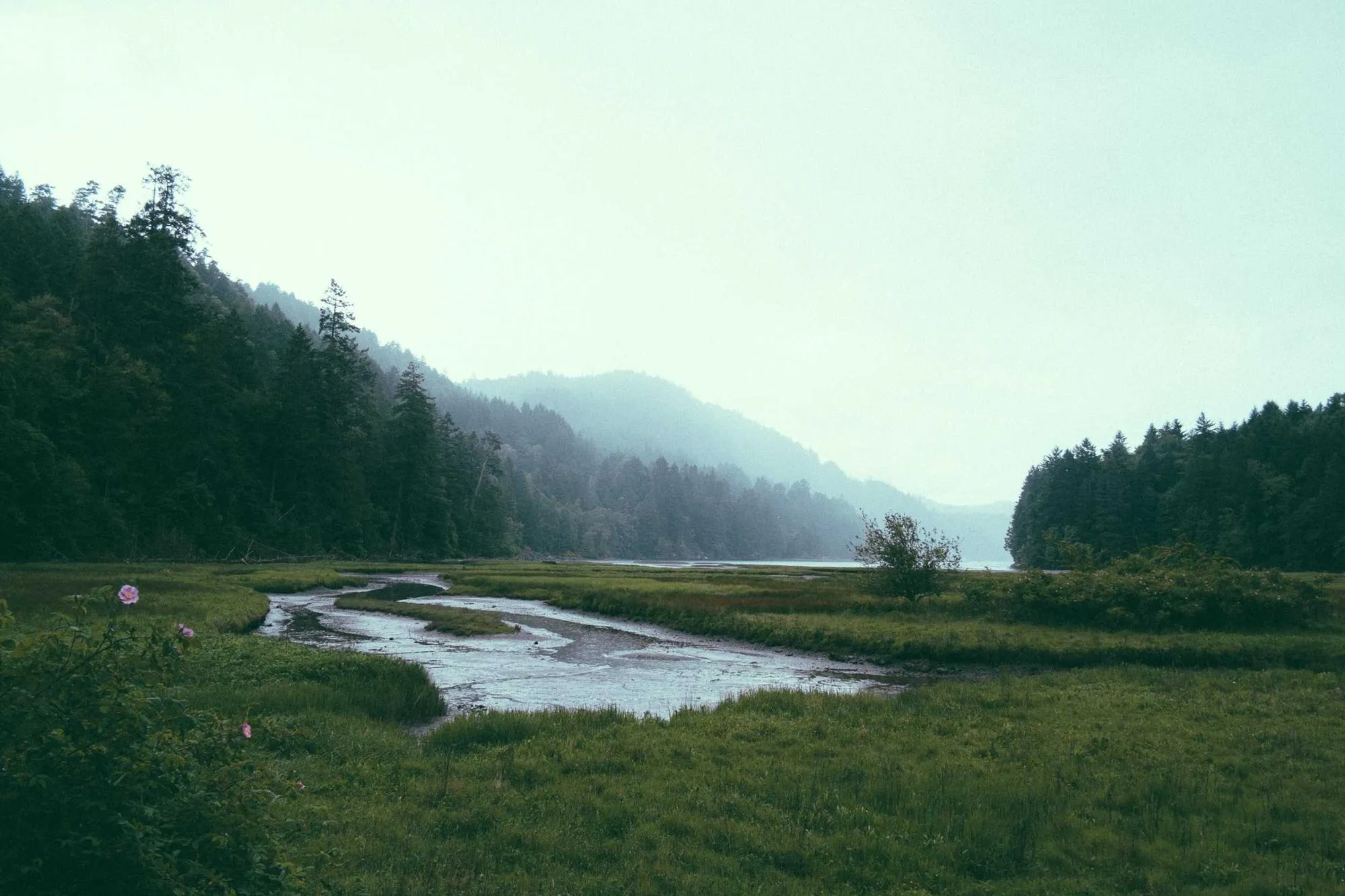 La rivière du matin