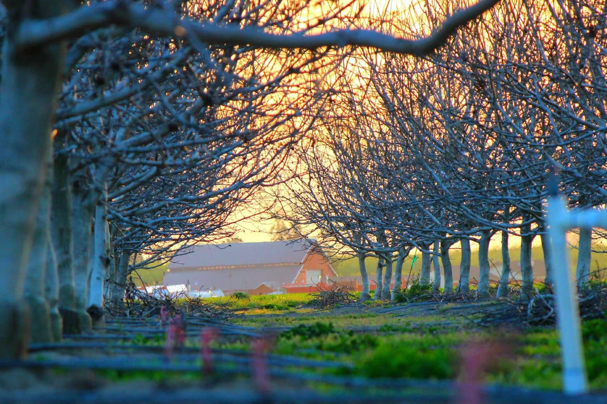 Stages photo : les dates du printemps